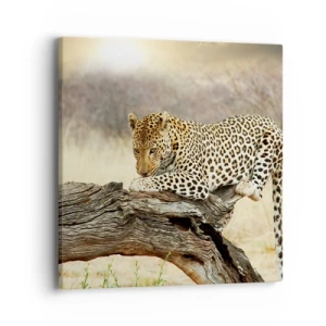 Obraz na plátne - Chodím vlastnými cestami - 40x40 cm