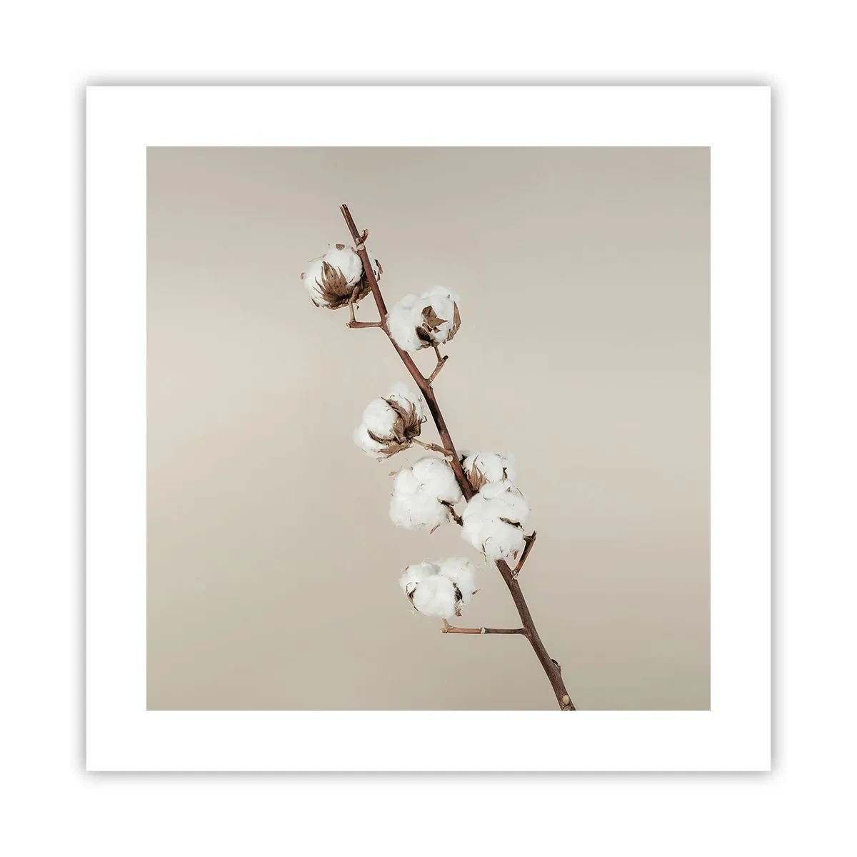 Plagát - Pri zdroji mäkkosti - 40x40 cm