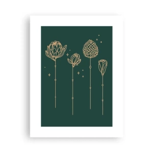 Plagát - Bylinky - 30x40 cm