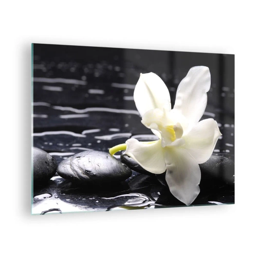 Obraz na skle - Biela orchidea na mokrých čiernych kameňoch - 70x50cm - Štúdia v čiernej a bielej - Moderná nástenná dekorácia do obývacej izby a spálne ARTTOR