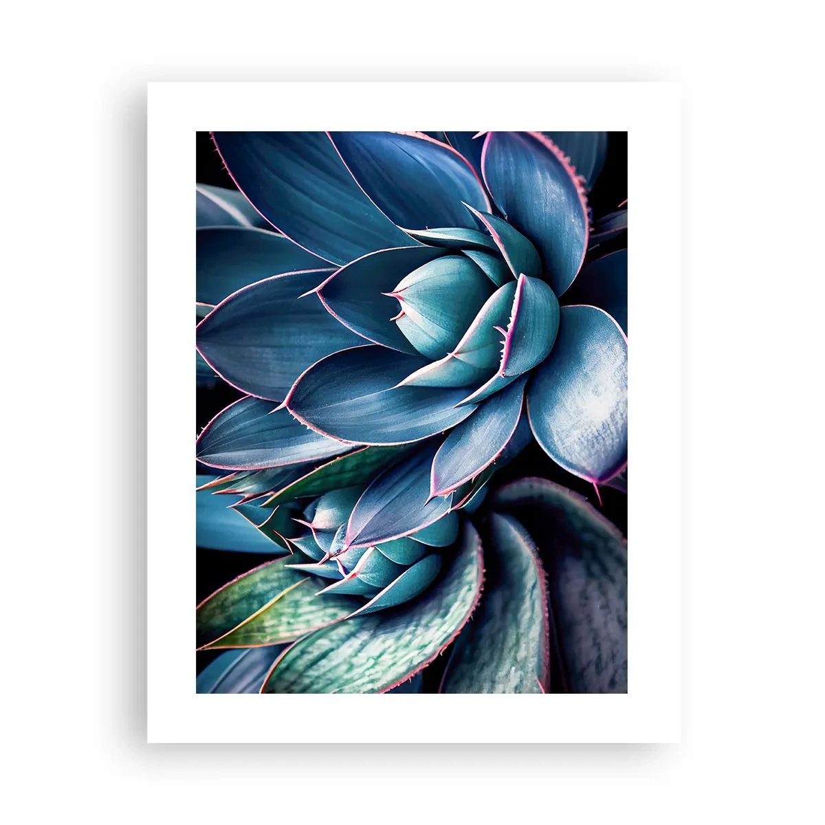 Plagát - Vitálna sila - 40x50 cm