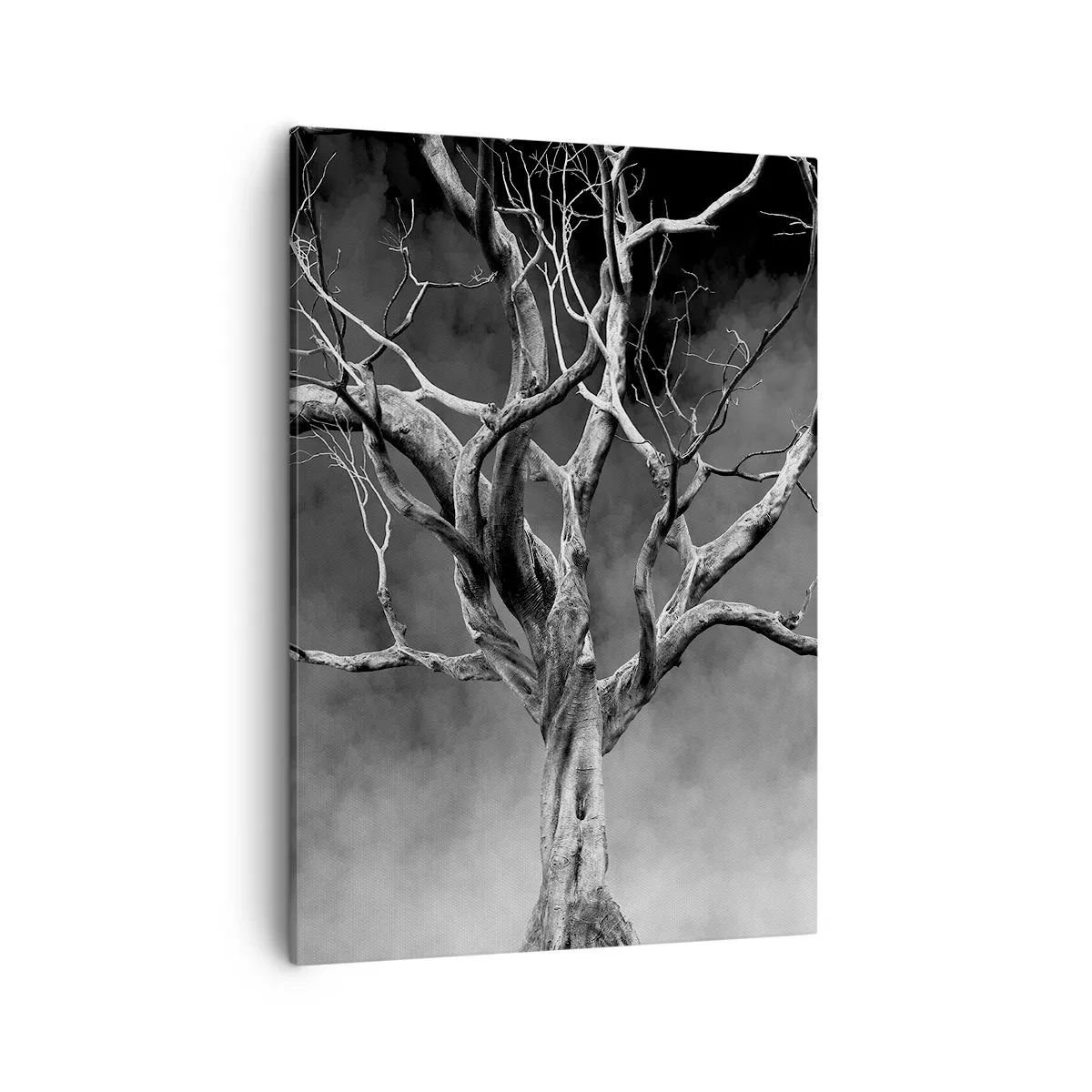 Obraz na plátne - Pôvodné a sväté - 50x70 cm