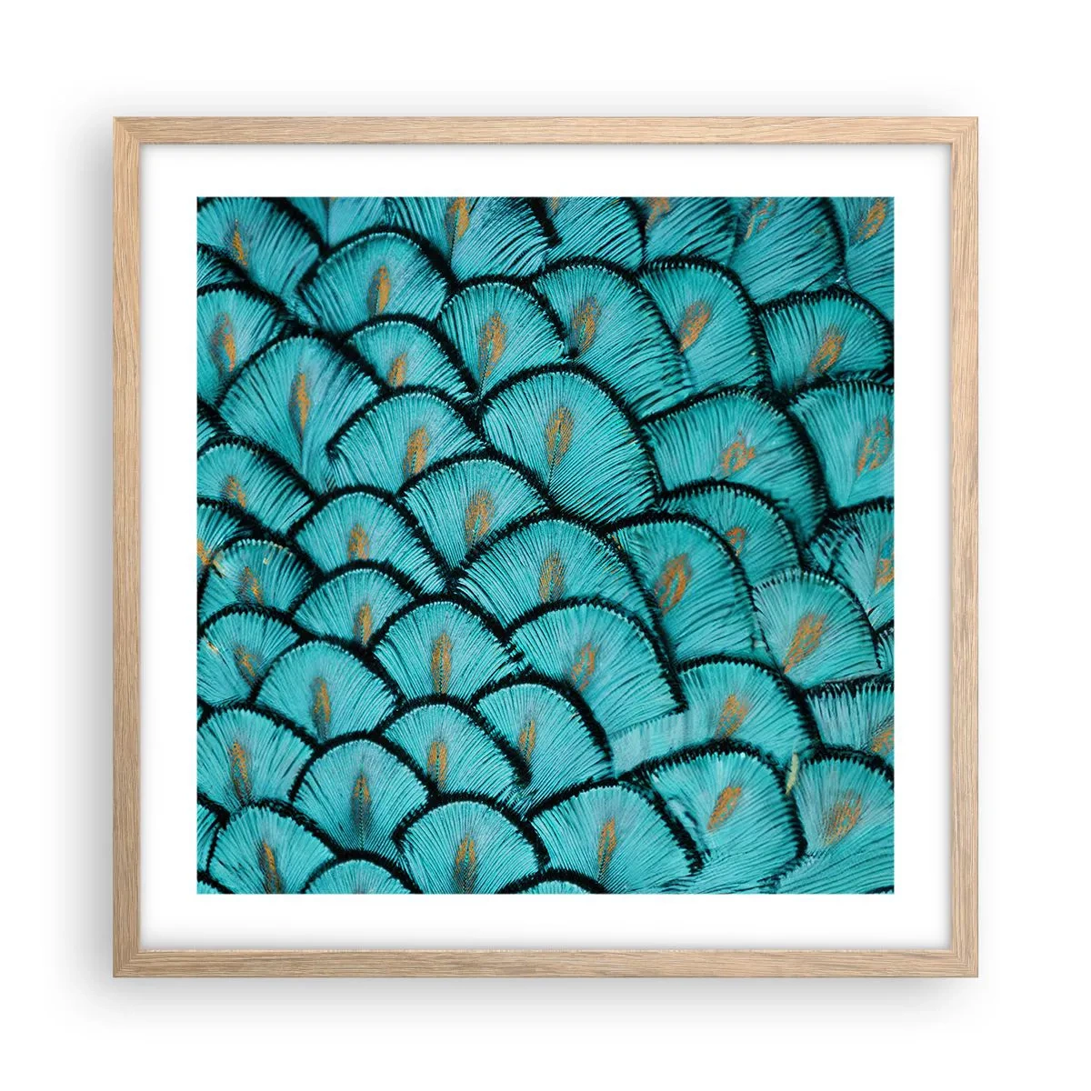 Plagát v ráme zo svetlého duba - Veľká slávnosť peria - 50x50 cm