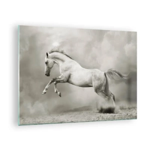 Obraz na skle - Biely kôň skáče proti oblakom - 70x50cm - Medzi bdením a snom - Moderná nástenná dekorácia do obývacej izby a spálne ARTTOR