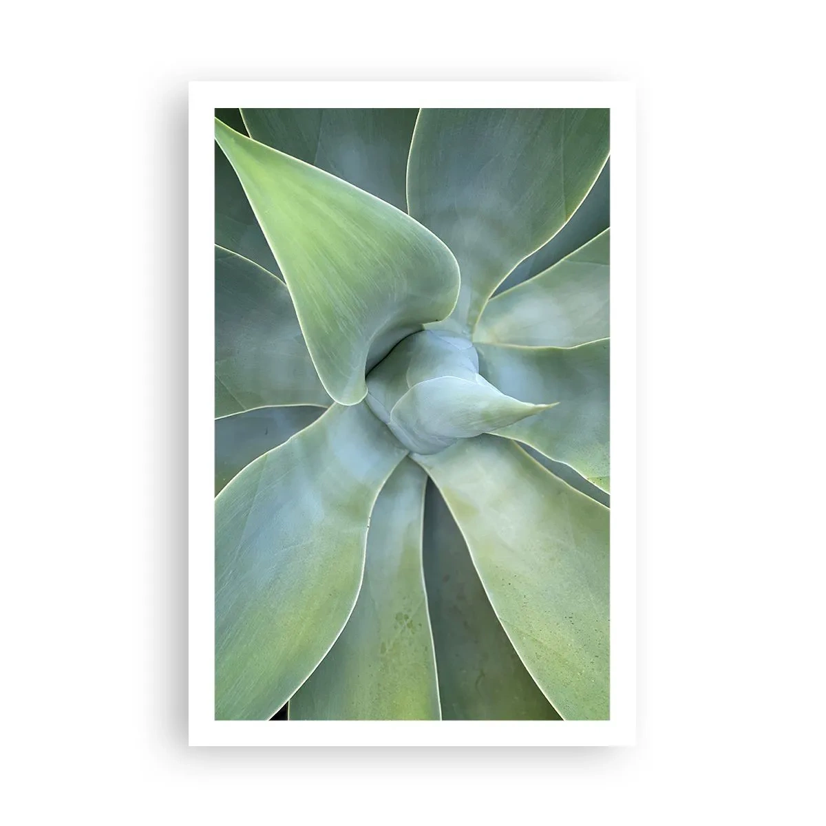 Plagát - Zrodenie zelene - 61x91 cm