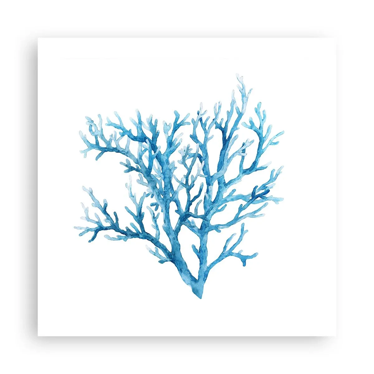 Plagát - Morský filigrán - 50x50 cm