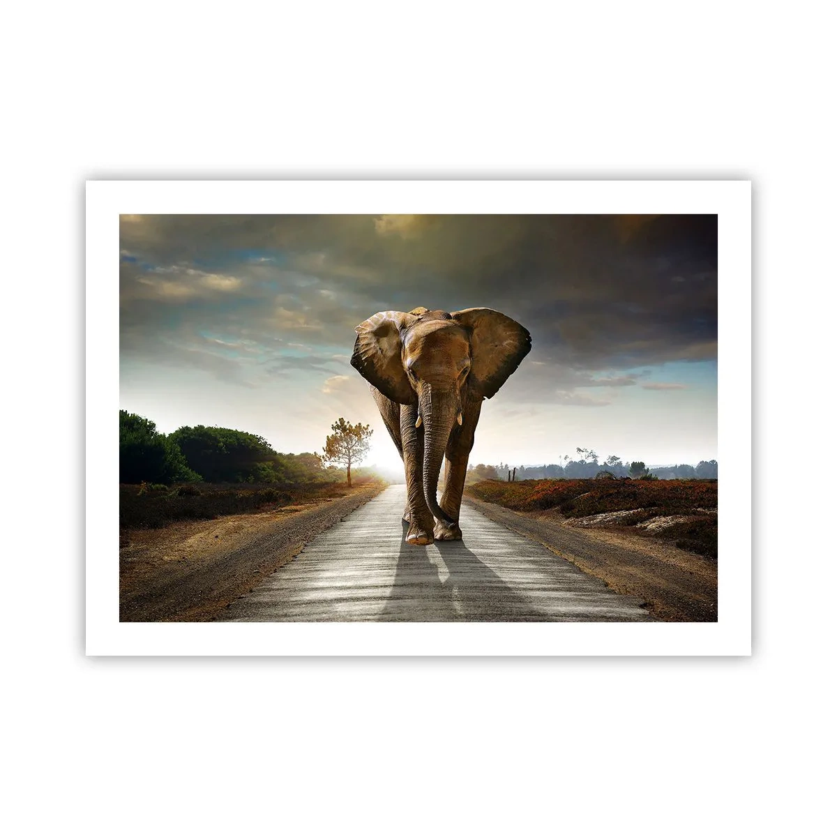 Plagát - A vôbec nie v sklade porcelánu - 70x50 cm