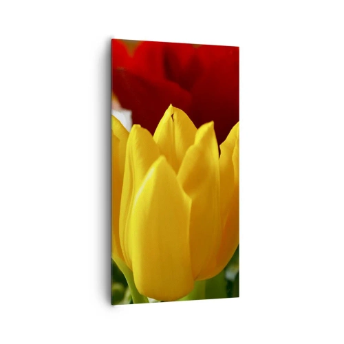Obraz na plátne - Tulipánová horúčka - 65x120 cm