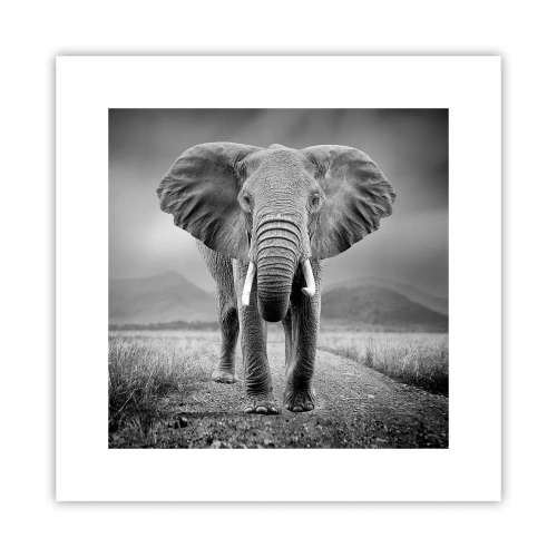 Plagát - Hostiteľ víta - 30x30 cm