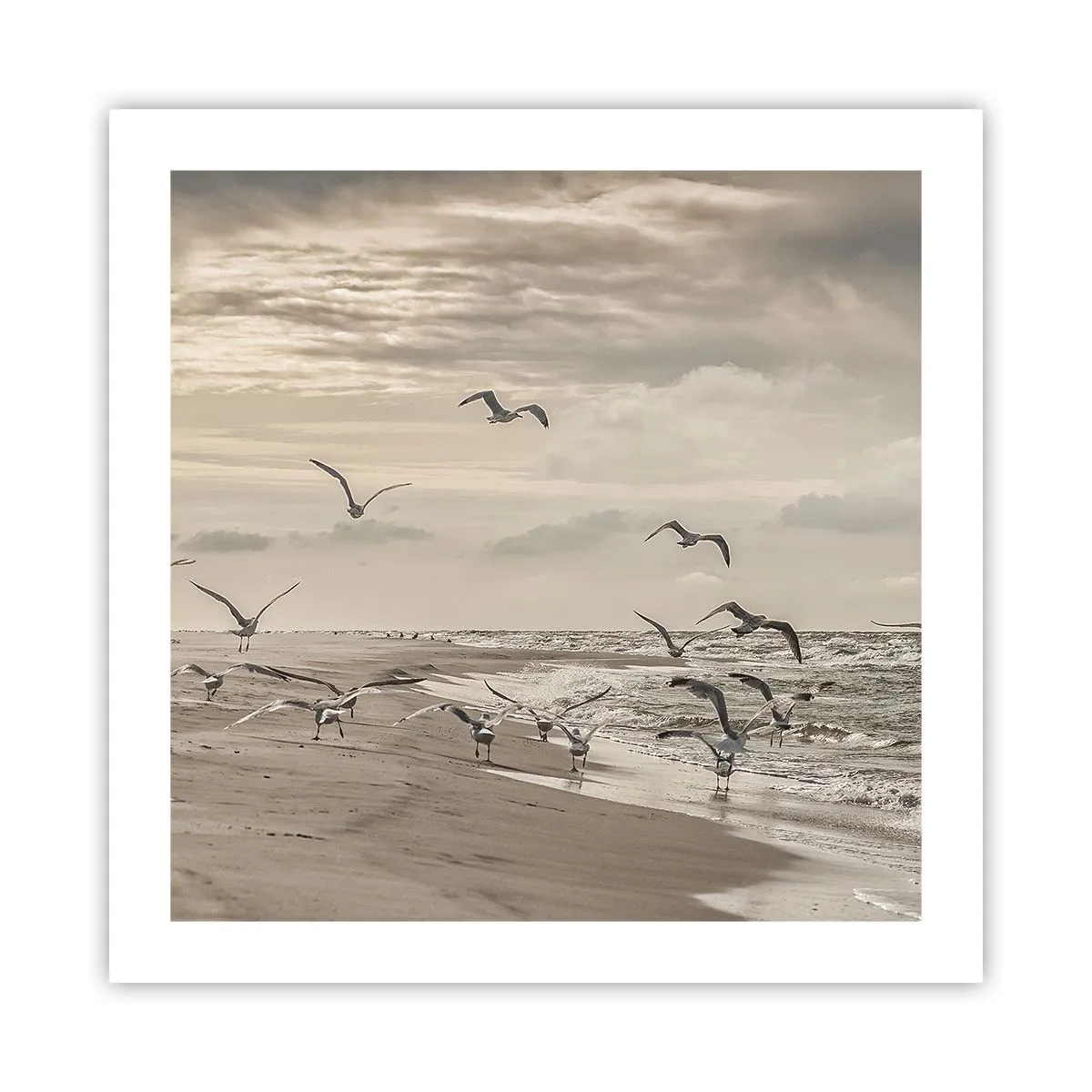 Plagát - Šumenie mora, spev vtákov - 50x50 cm
