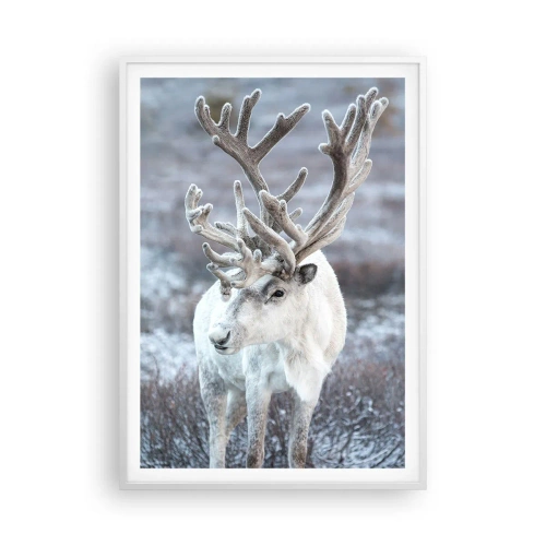 Plagát v bielom ráme - Slnečný portrét - 70x100 cm