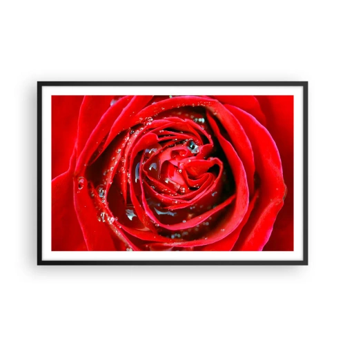 Plagát v čiernom ráme - V kvapkách rosy - 91x61 cm