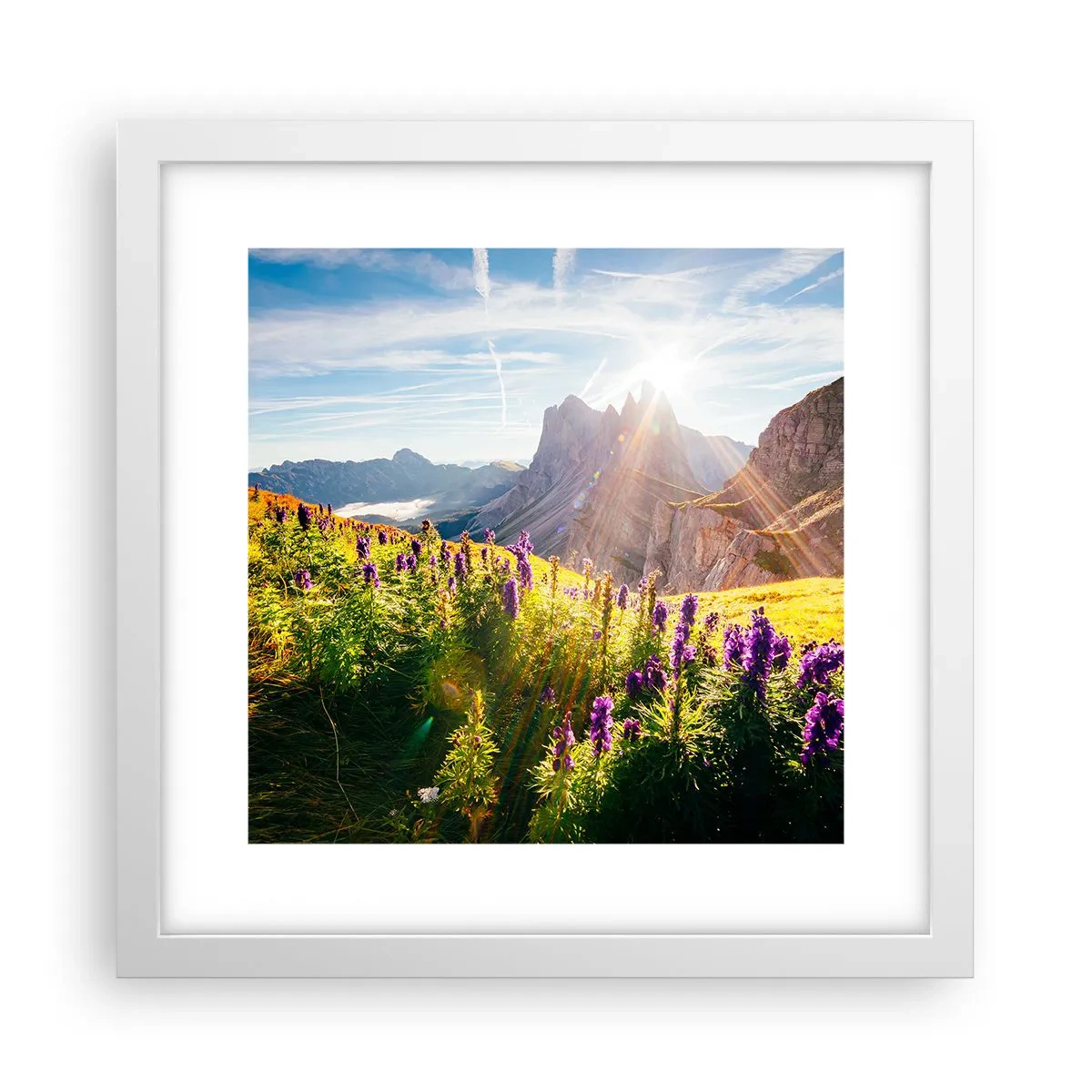 Plagát v bielom ráme - Tajomný život bylín - 30x30 cm