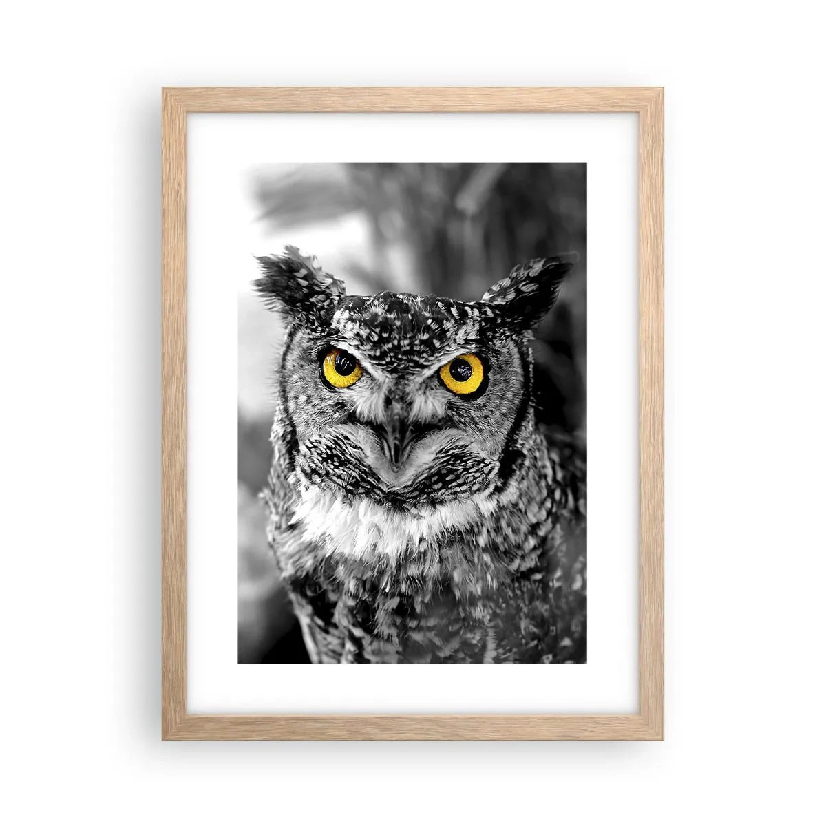 Plagát v ráme zo svetlého duba - Nič sa neschová - 30x40 cm