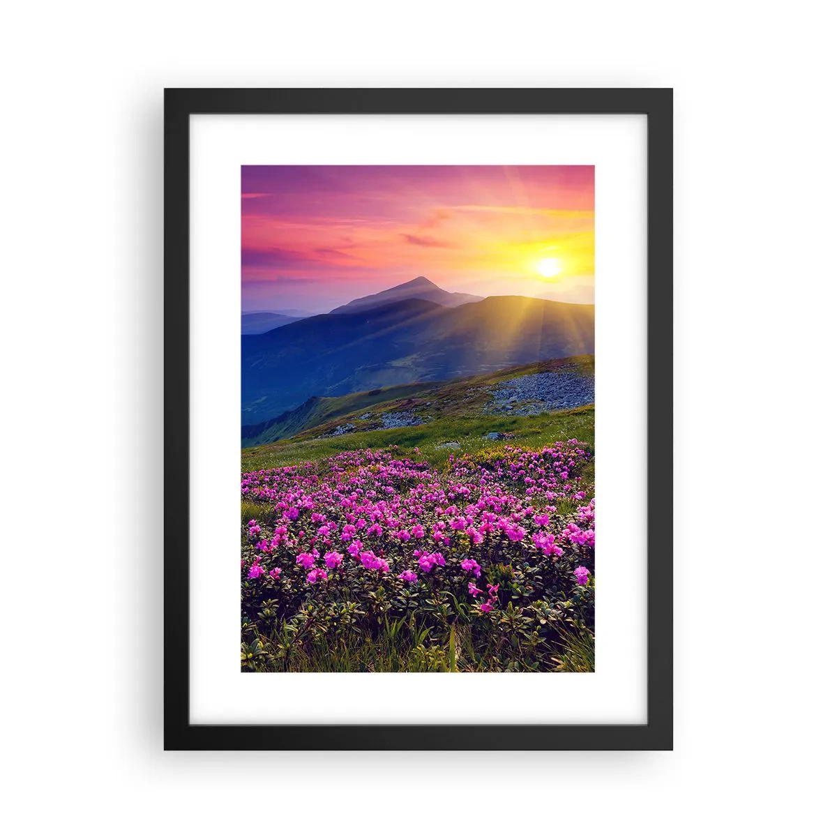 Plagát v čiernom ráme - …A okolo vonia kosodrevina a voňajú byliny - 30x40 cm