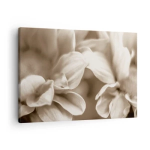 Obraz na plátne - Detailný záber kvetov v jemnom sépiovom odtieni s jemnými kontúrami - 70x50cm - Nežné ako úsmev - Moderná nástenná dekorácia do obývacej izby a spálne ARTTOR