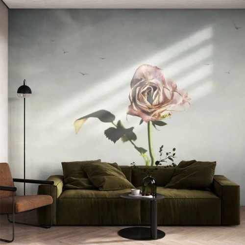 Fototapeta na mieru Premium Sand - Vítanie jari - Rose, Kvetina, Kus