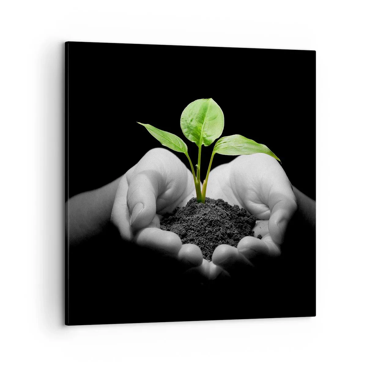 Obraz na plátne - Milujem prírodu, chránim ju - 50x50 cm