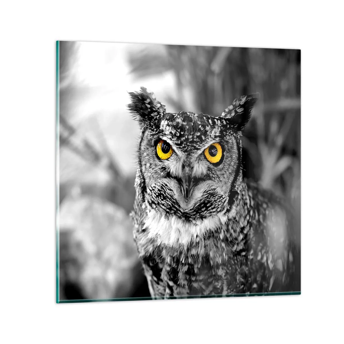 Obraz na skle - Nič sa neschová - 70x70 cm