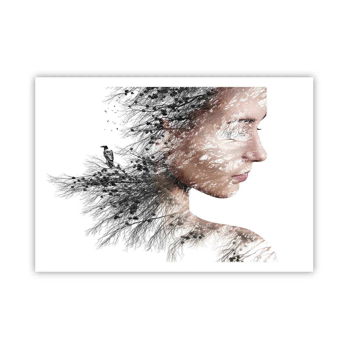 Plagát - Duch lesa - 100x70 cm