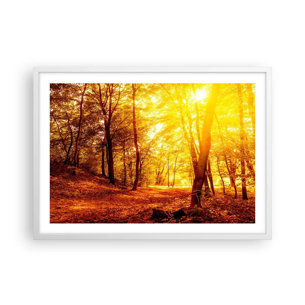 Plagát v bielom ráme - K zlatej čistinke - 70x50 cm