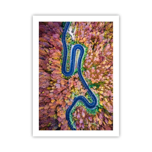 Plagát - Kľukatá cesta lesom - 50x70 cm