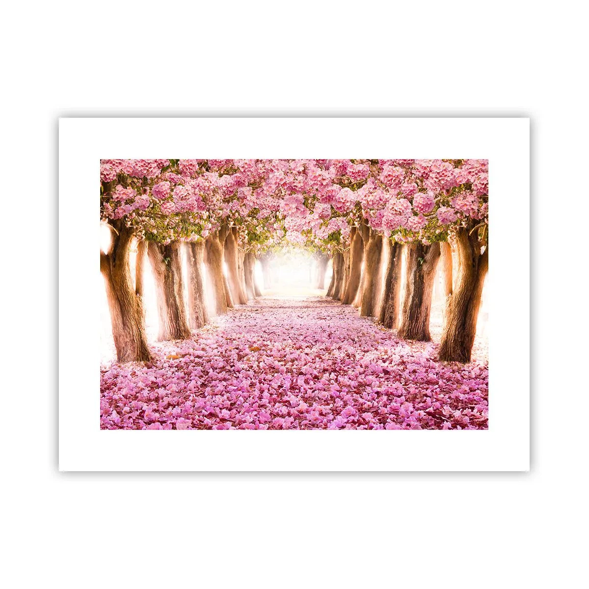 Plagát - Cesta do raja - 40x30 cm