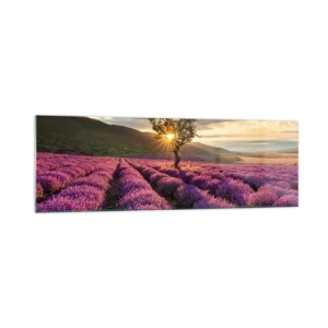 Obraz na skle - Aróma vo fialovej - 160x50 cm