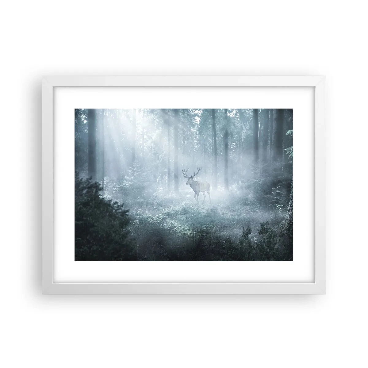 Plagát v bielom ráme - Ranná obchôdzka sídliska - 40x30 cm