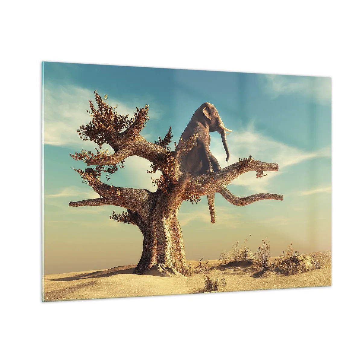 Obraz na skle - Nový uhol pohľadu - 100x70 cm