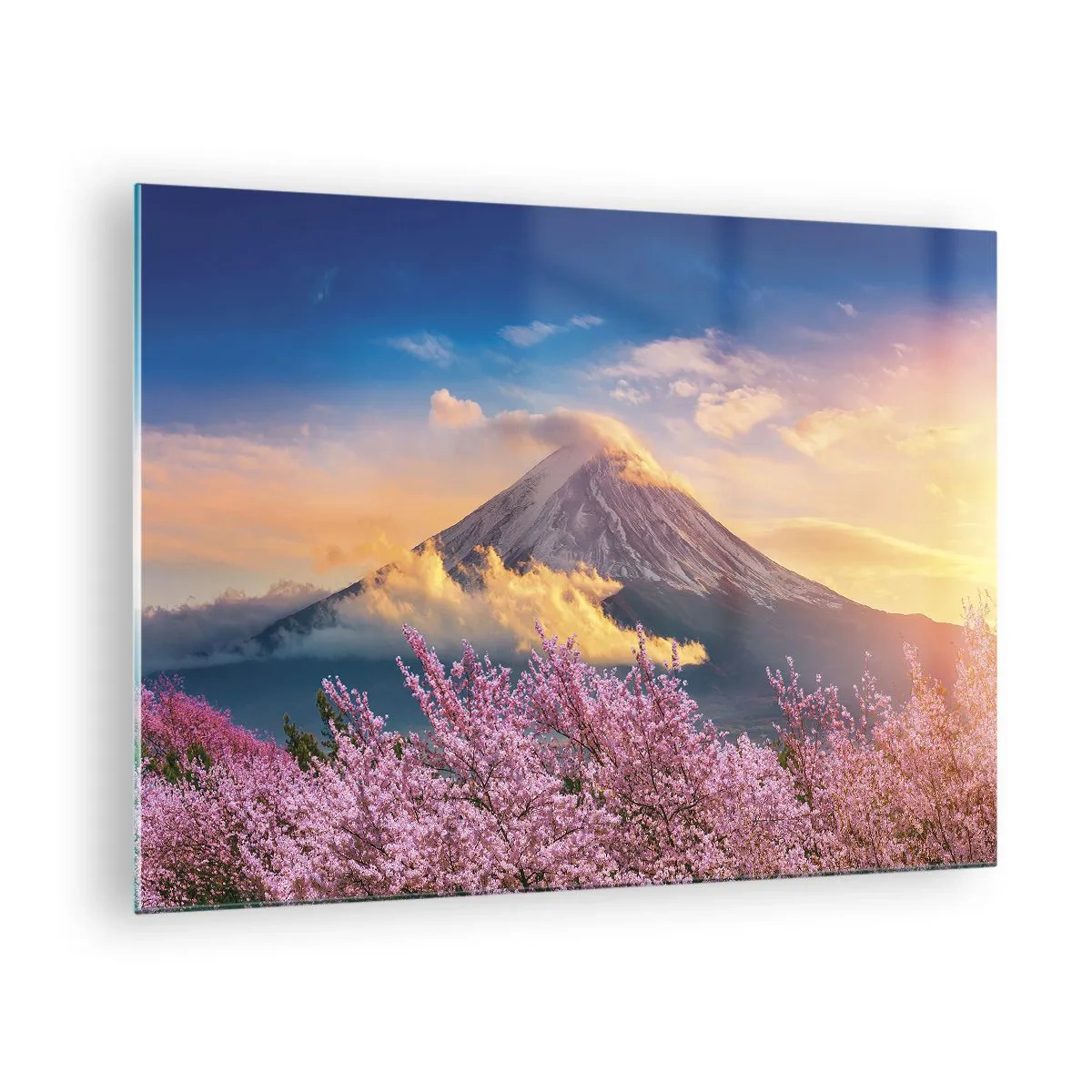 Obraz na skle - Hora Fudži v pozadí s kvitnúcimi sakurami v popredí - 70x50cm - Japonská sviatosť - Moderná nástenná dekorácia do obývacej izby a spálne ARTTOR
