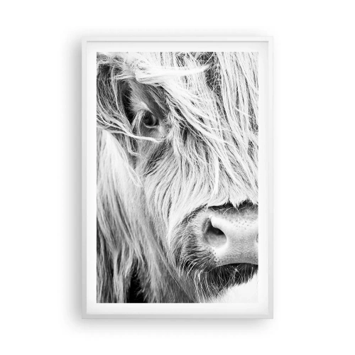 Plagát v bielom ráme - Škótska divokosť - 61x91 cm