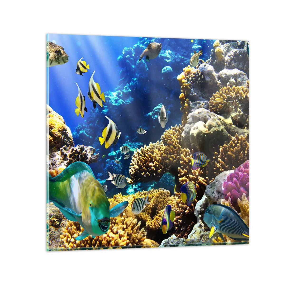 Obraz na skle - Veľká prevádzka na prázdninovom chodníku - 30x30 cm