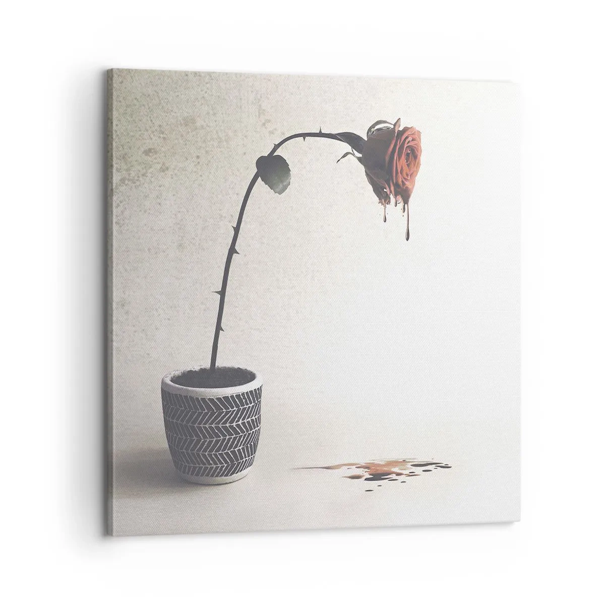 Obraz na plátne - Rosa dolorosa - 60x60 cm