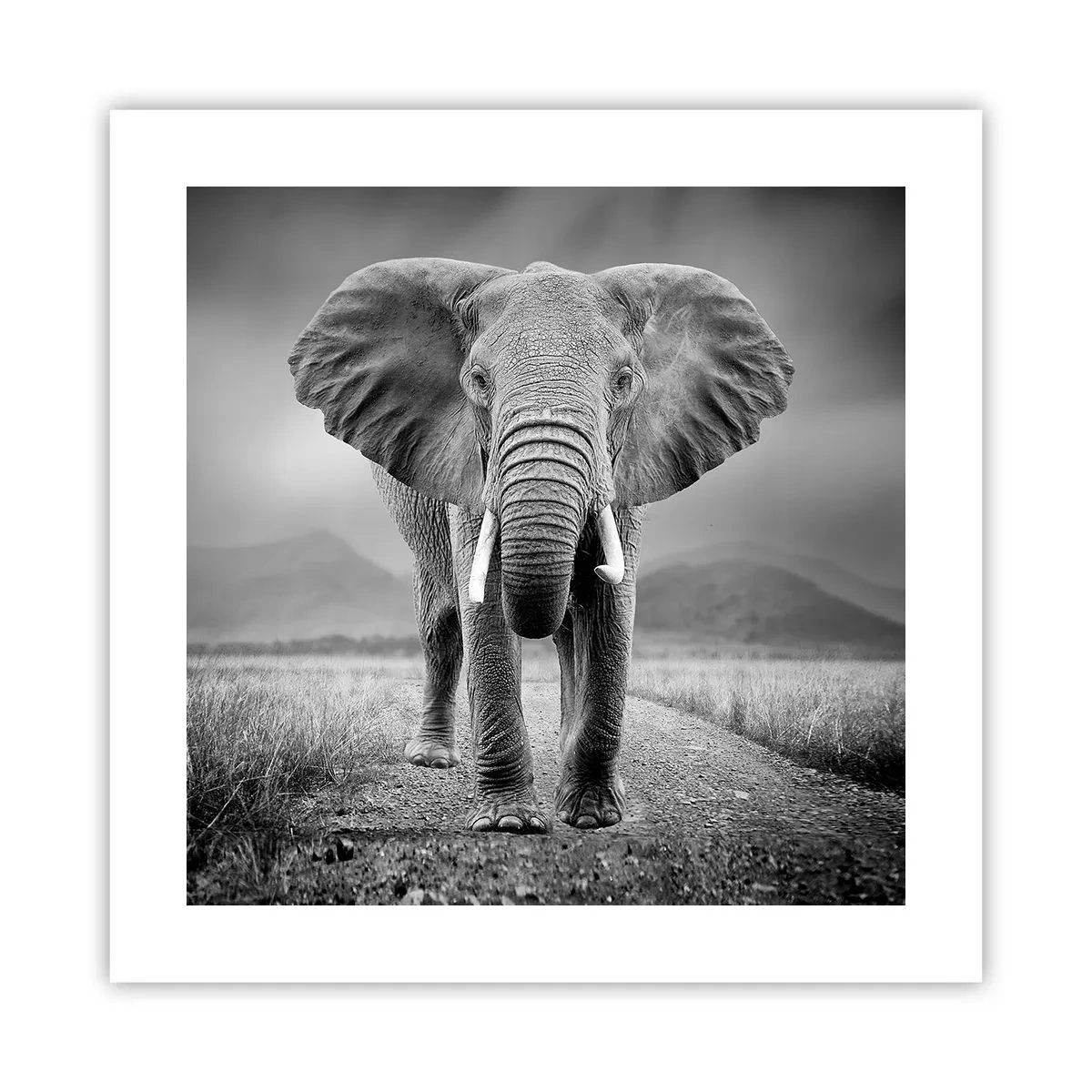 Plagát - Hostiteľ víta - 40x40 cm