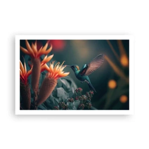 Plagát - Skutočne pestrý život - 91x61 cm