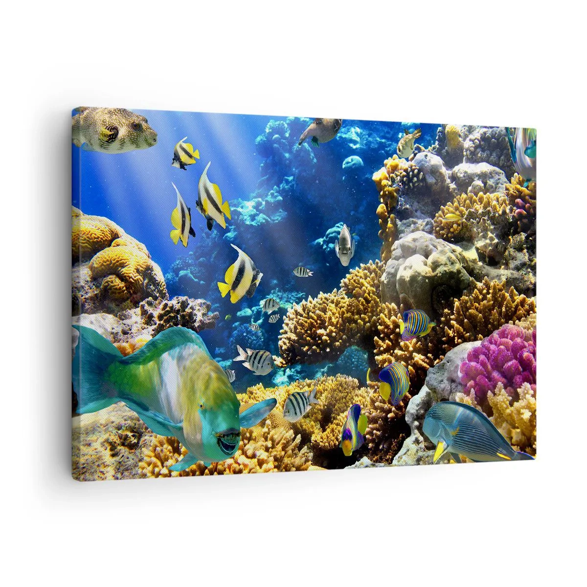Obraz na plátne - Farebný koralový útes s tropickými rybami v hlbinách oceánu. - 70x50cm - Veľká prevádzka na prázdninovom chodníku - Moderná nástenná dekorácia do obývacej izby a spálne ARTTOR