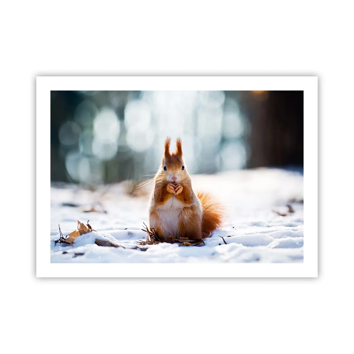 Plagát - Čo sa tak pozeráš? - 70x50 cm