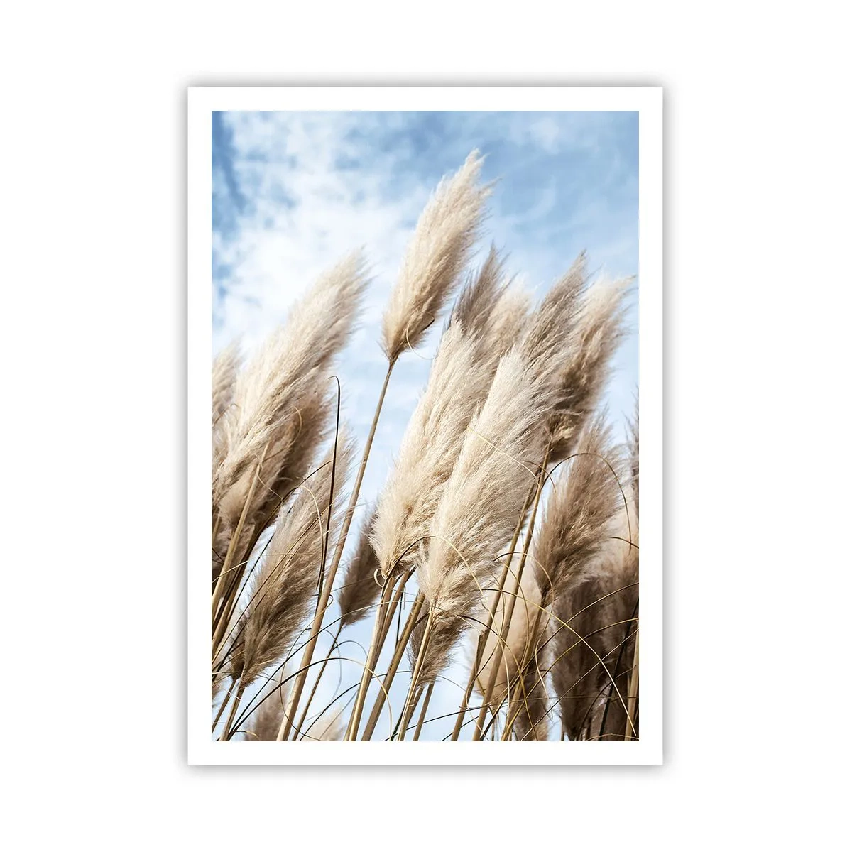 Plagát - Slnečné a veterné pohladenie - 70x100 cm