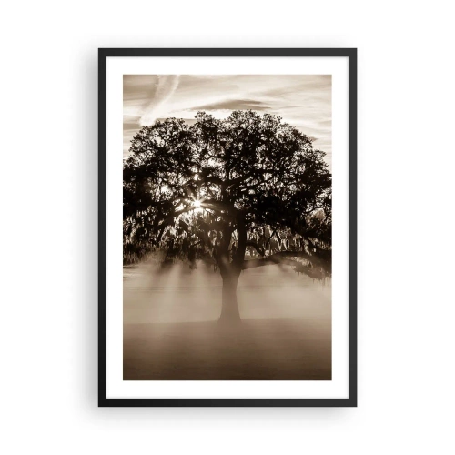 Plagát v čiernom ráme - Strom v hmle s lúčmi svetla - 50x70cm - Strom správ samotného dobra - Moderná nástenná dekorácia do obývacej izby a spálne ARTTOR