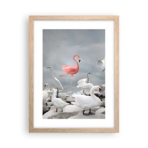 Plagát v ráme zo svetlého duba - Kde som sa tu vzal? - 30x40 cm