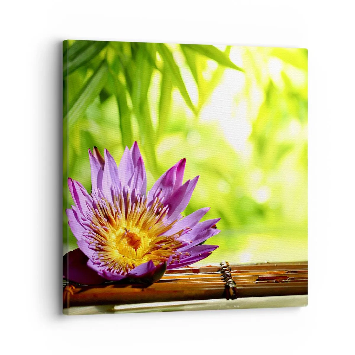 Obraz na plátne - Na ázijskom slnku - 30x30 cm