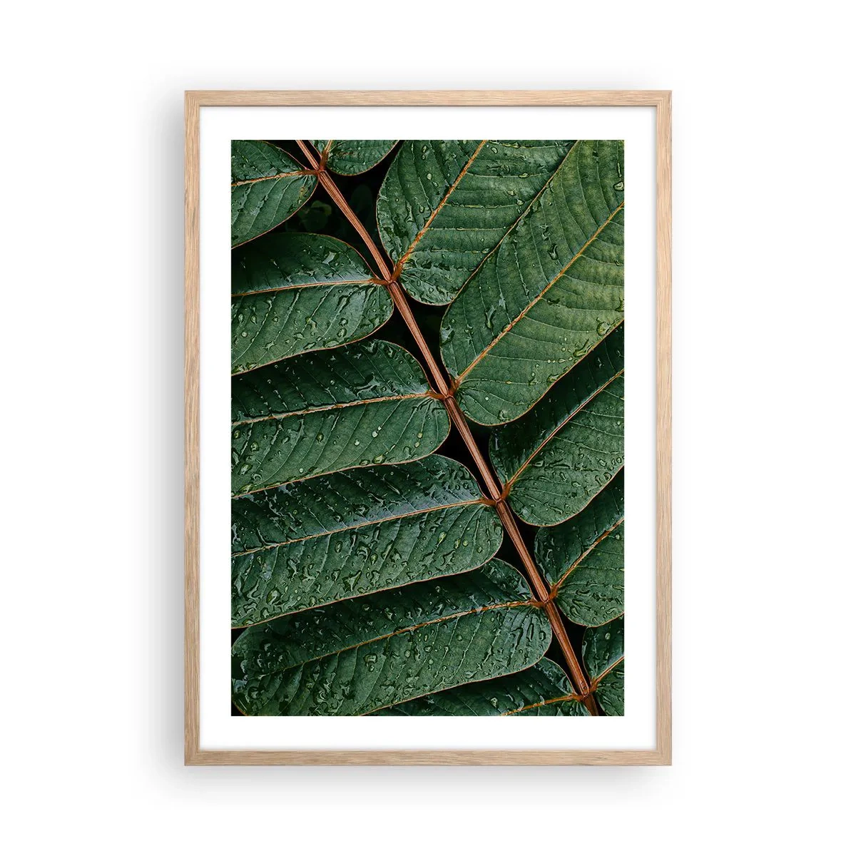 Plagát v ráme zo svetlého duba - V zelenom rytme - 50x70 cm