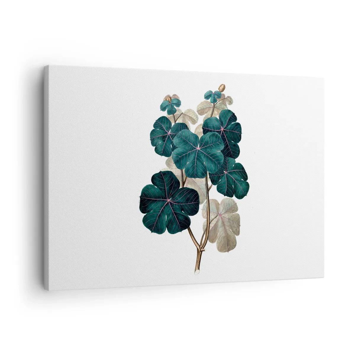 Obraz na plátne - Botanická ilustrácia s listami v odtieňoch zelenej a béžovej - 70x50cm - Zo starého herbára - Moderná nástenná dekorácia do obývacej izby a spálne ARTTOR