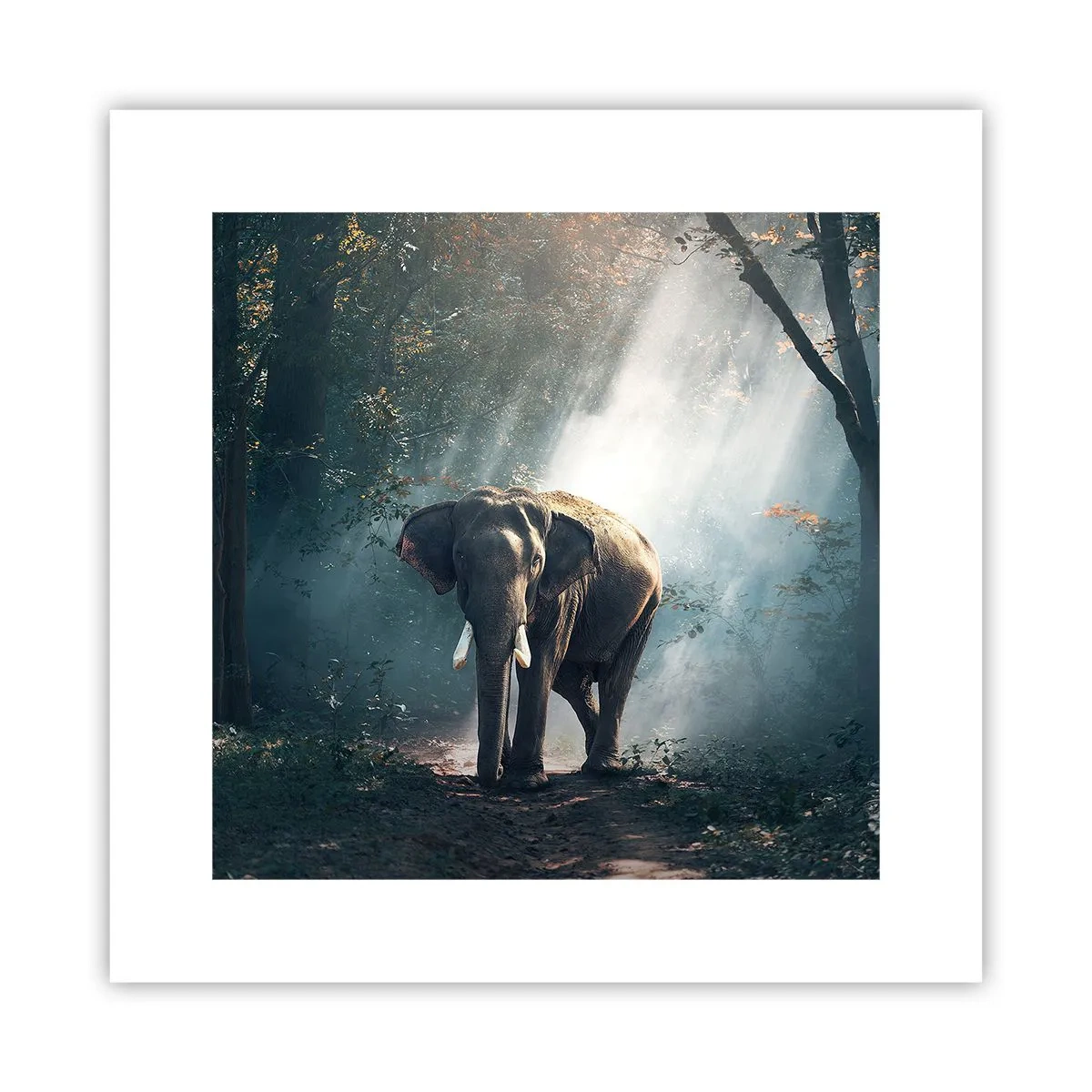 Plagát - Pokojná prechádzka - 30x30 cm