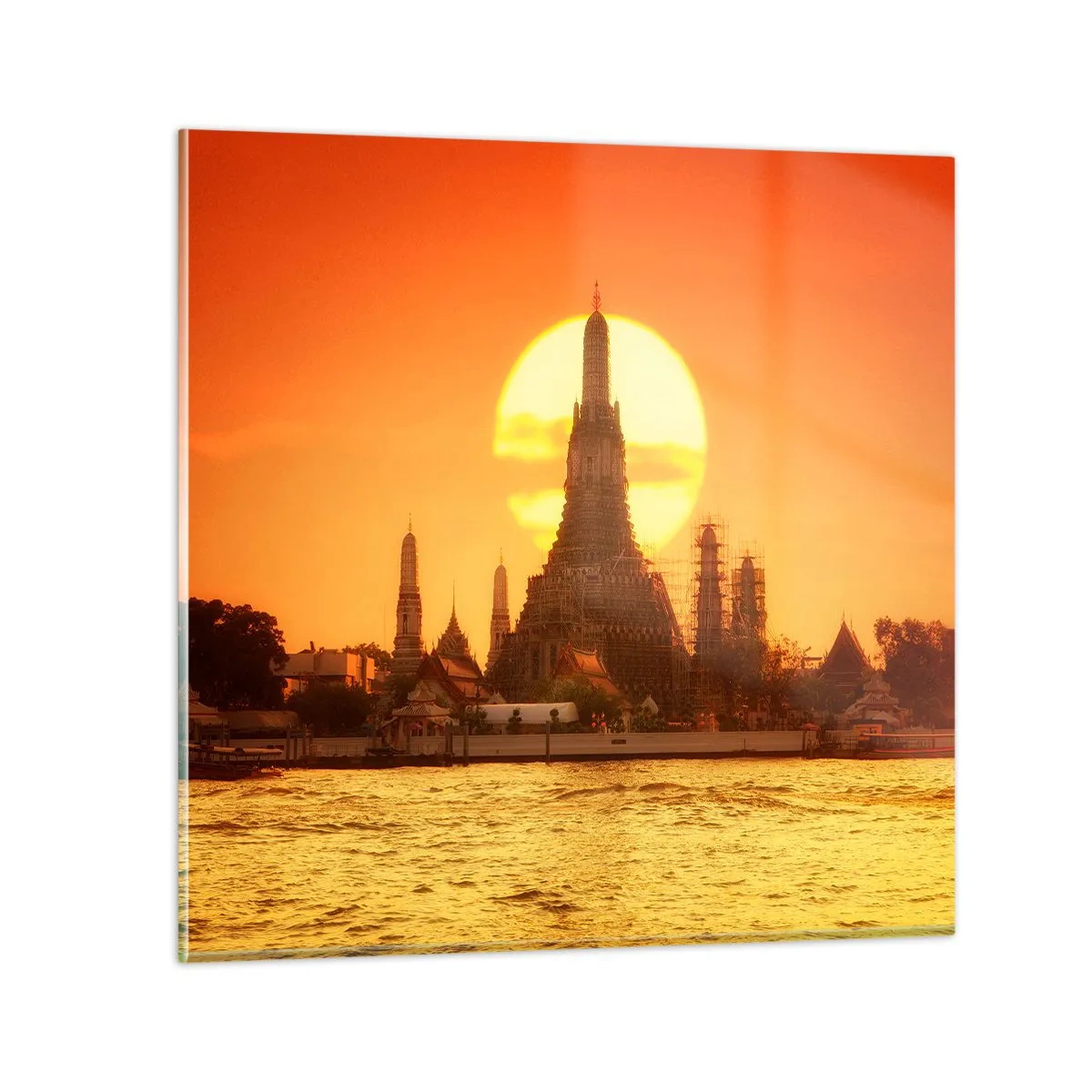 Obraz na skle - K slnku, vždy k slnku - 40x40 cm