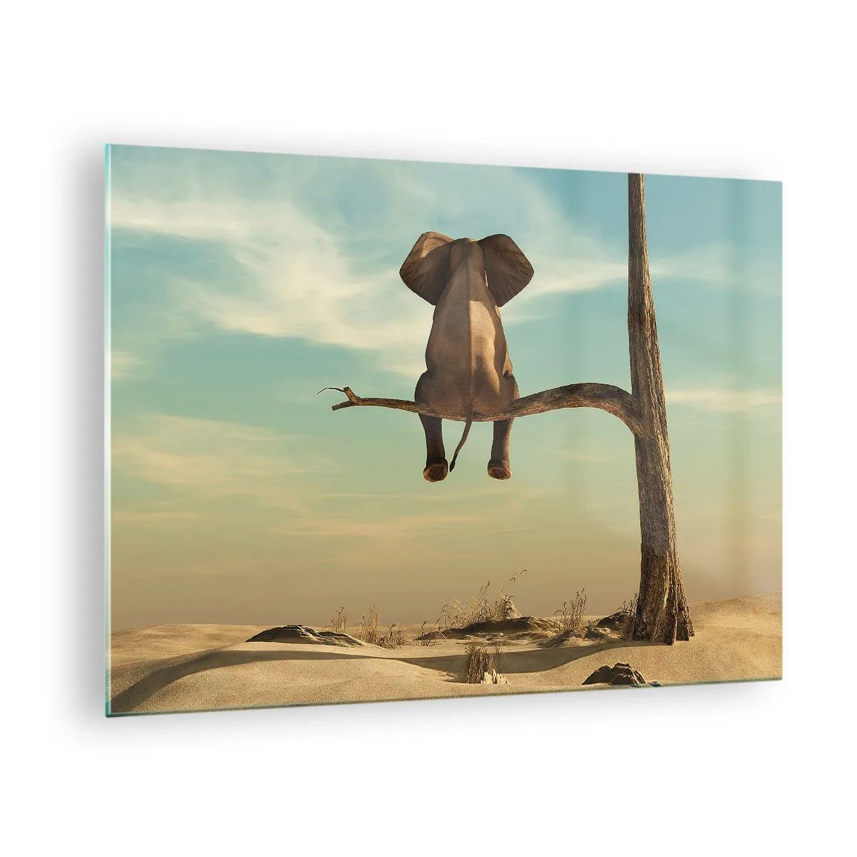 Obraz na skle - Slon na konári stromu v surrealistickom prostredí - 70x50cm - Nový uhol pohľadu - Moderná nástenná dekorácia do obývacej izby a spálne ARTTOR