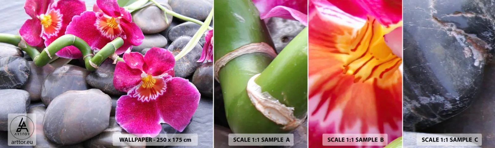 Vzorka Fototapeta Standard Eco - Chlad a žiara - Kvety, Kamene, Orchidea - 100x30 cm