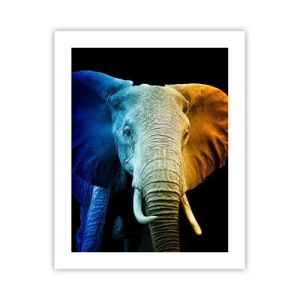 Plagát - Excentrický muž, avšak nie podivín - 40x50 cm