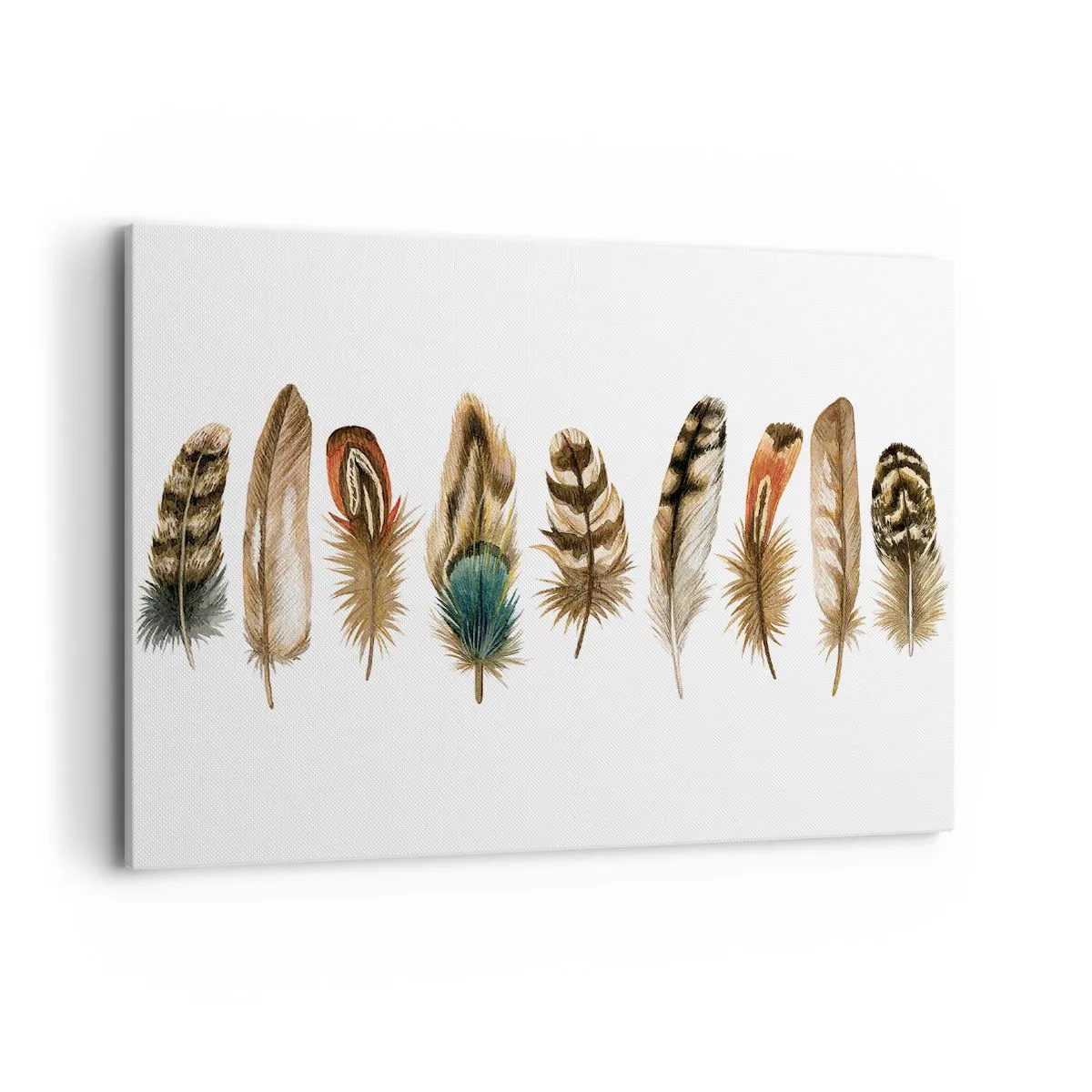 Obraz na plátne - Operená variácia - 100x70 cm